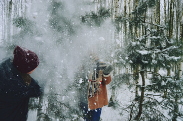 Spadający śnieg z drzew - obrazy, fototapety, plakaty