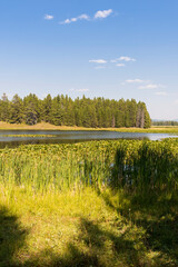 panorama of swan lake in teton national park in Wyoming