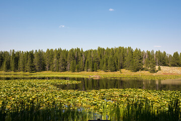 panorama of swan lake in teton national park in Wyoming