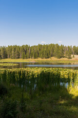 panorama of swan lake in teton national park in Wyoming