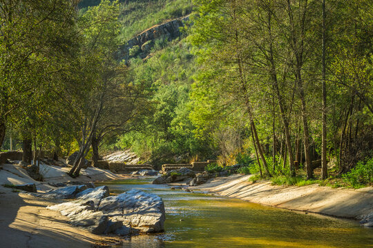 Forest background with river in the portuguese park of Penedo Furado - Abrantes - Portugal. Forest with autumn folliage and river stream