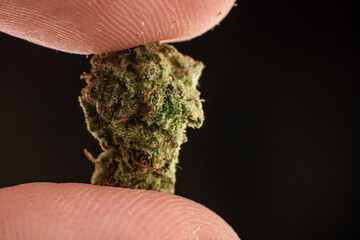 Marijuana flower bud macro close-up on a finger on a black background.