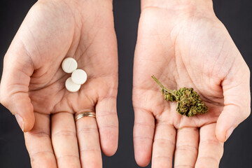 Marijuana and pills on female palms. Medical cannabis as an alternative to drugs concept.