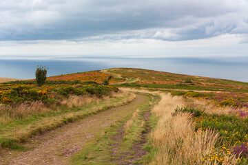 Fototapeta premium The path over the moor to Hurlstone Point, Somerset