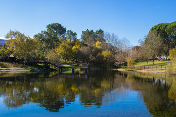 Fototapeta premium Beautiful lake with wooden pontoon in the environmental park of Santa Margarida da Coutada, located in Constancia - Portugal