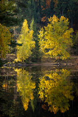 autumn scenery in the Waldviertel, Lake Ottenstein in Lower Austria, Austria