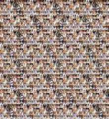 Vertical collage made of portraits of multiethnic people, businessmen at office area, indoors. Business, education, teamwork, work, finance, tech concept.