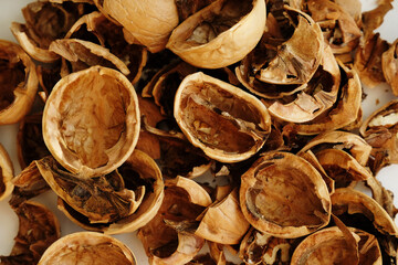 Dry walnut shell close up, texture background