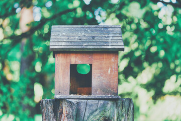 Wooden birdhouse in the form of a house on a stump in the park