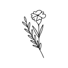 Floral Frame Line Art