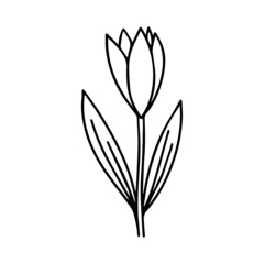 Obraz premium Floral Frame Line Art