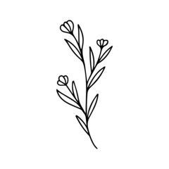 Floral Frame Line Art