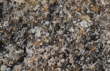 The old stone is covered with green, yellow and brown moss.	