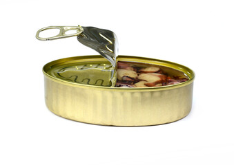 Canned octopus in olive oil with white background