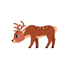 Cute brown spotted deer with horns. Forest wild animal. Vector cartoon illustration. Isolated on white background.