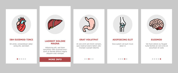 Human Internal Organ Anatomy Onboarding Mobile App Page Screen Vector. Stomach And Liver, Heart And Lung, Intestine And Gland, Muscle And Skin People Organ. Healthcare And Medicine Illustrations