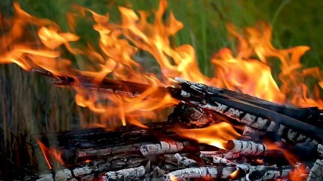 flames of a burning fire on a background of green grass time laps, asmr