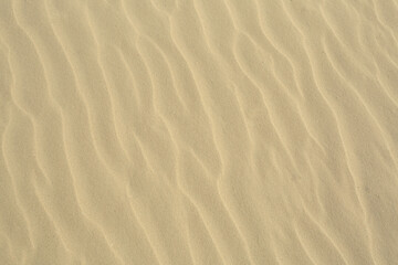 Fototapeta na wymiar sand texture,Beach sand,Sand Texture for Summer Background.