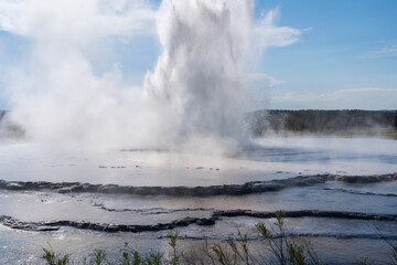 Great Fountain Geyser erupting in Yellowstone National Park