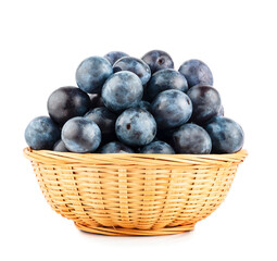 Blackthorn fruits basket isolated on a white background