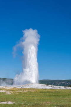 Old Faithful Erupts at the Upper Geyser Basin in Yellowstone National Park on a sunny summer day