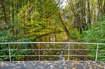 Foto op Plexiglas View from a pedestrian bridge across a narrow canal in Zuiderpark in Rotterdam, The Netherlands in autumn © Frans