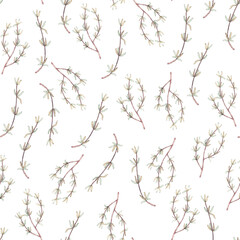 Thyme Herb Watercolor Seamless Pattern
