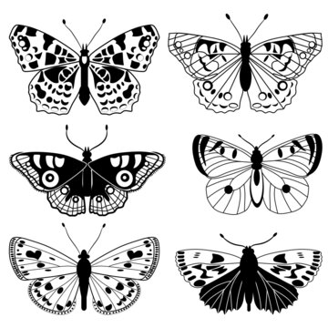 collection of butterflies black and white svg vector illustration