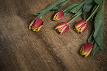 Tulips on a wooden background with space for text. Top view.