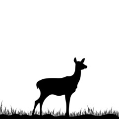 Deer standing on the grass. Abstract deer silhouette. Vector illustration.