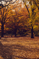Fall park