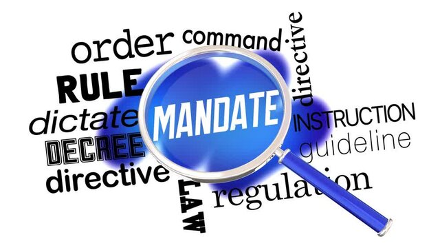 Mandate Magnifying Glass Search Find New Regulation Rule Law 3d Animation