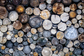 wall firewood, Background of dry chopped firewood logs in a pile - 471112757
