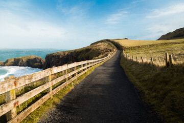A beautiful tourist track path in The Giant's Causeway, Belfast, Northern Ireland