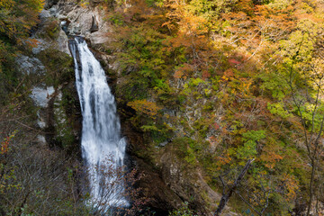 Beautiful waterfall in the forest at autumn season
