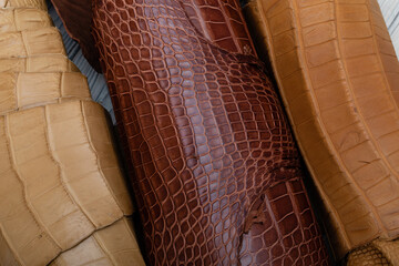Fototapeta na wymiar Colorful rolls of alligator leather. Brown light dark palette.