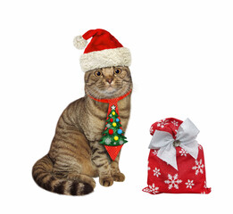 A beige cat in a holiday tie sits near the Christmas bag of gifts. White background. Isolated.