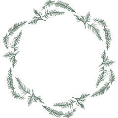 Fototapeta na wymiar Spruce wreaths, round coniferous frame, vector illustration
