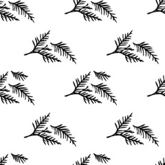 Seamless winter vector pattern of fir branches