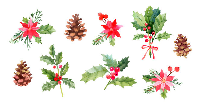 Christmas botanical clipart collection: holly branches, pine cones, bouquets, poinsettia. Hand drawn illustration