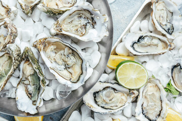 Oysters on metal tray with ice, lemon and champagne in restaurant. banner, menu, recipe place for text, top view