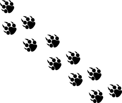 Footprints or steps of a big cat. Panther or tiger vector  traces