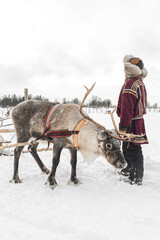 Sami and his reindeer