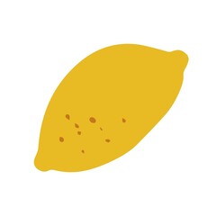  Flat lemon. Vector illustration isolated on white background.