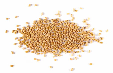 Wheat kernels, grains pile isolated on white background, top view