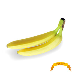 Realistic bananas on white background. Vector image