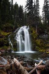 Middle Tumalo falls with logs