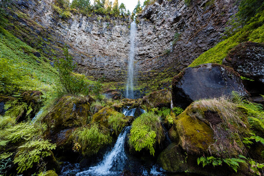 Moss and vegetation around Watson falls in Oregon