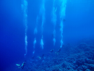 group of divers swimming under water. summer concept