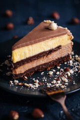 Nougat vanilla and chocolate glazed cake in four layers with hazelnuts on top and hazelnut crumbs around on a dark background